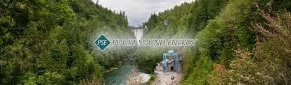 *Puget Sound Energy *ISNetworld® Client Addition