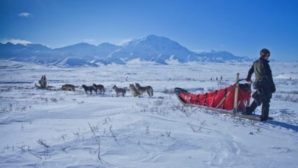 Reopening Alaska: What Businesses Need to Know about Workplace Safety and Preventing the Spread of Covid-19