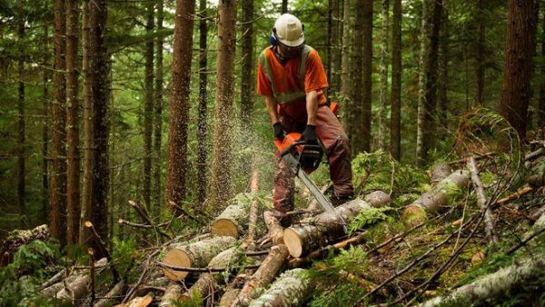 Reopening Washington: What Businesses Need to Know about Workplace Safety and Preventing the Spread of Covid-19